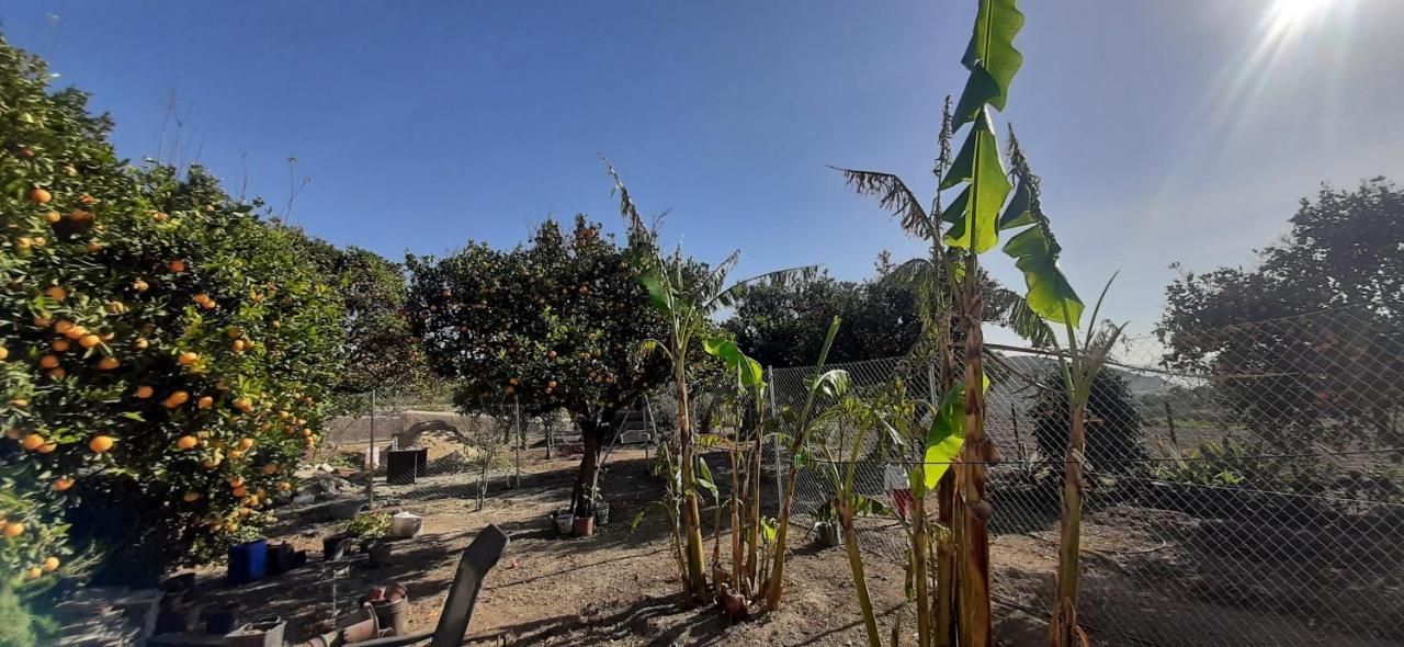 Cortijo Ferre, A Los Pies Del Castillo La Atalaya De นีคาร์ ภายนอก รูปภาพ