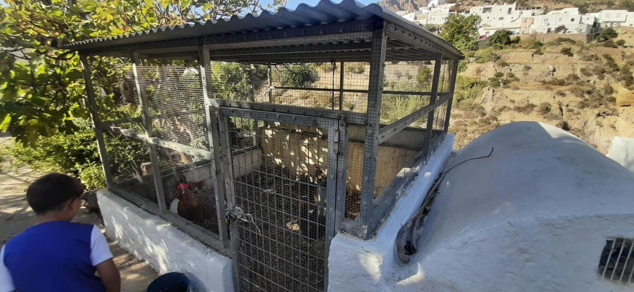 Cortijo Ferre, A Los Pies Del Castillo La Atalaya De นีคาร์ ภายนอก รูปภาพ